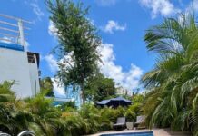 Punta Cana: cuando unas vacaciones pueden cambiar tu forma de vivir el descanso / Villa Palm de Lujo: Piscina, Jacuzzi + Traslado Gratis al Aeropuerto 🌴✨ / Luxury Palm Villa: Pool, Jacuzzi + Free Airport 🌴✨